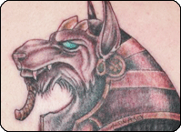 click to view larger